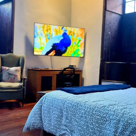 Cozy In Of 100 M² With View * Garachico (Tenerife)